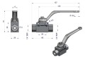 WKH-B-1-4BSP.png