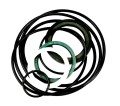 W-ZES-WMS-V2_1.png