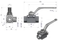WKH3-B-3-8BSP.png