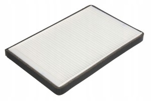 Filtr kabinowy AF55861 Fleetguard