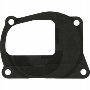 Uszczelka pompy wody New Holland 98400776, 4858073
