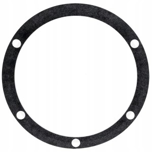 Uszczelka pompy wody Massey Ferguson V836855625