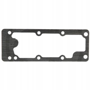 Uszczelka pompy wody Massey Ferguson 4223965M1