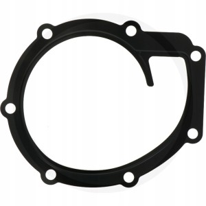 Uszczelka pompy wody Massey Ferguson 4225204M1