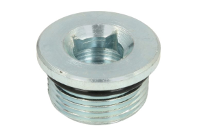 CARRARO korek spustowy dyferencjału 125280