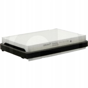 Granit filtr powietrza 8004068
