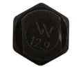 W-240121439002.jpg