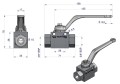WKH-B-3-8BSP.png