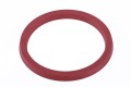 50548501U.jpg
