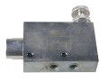 V1060.jpg