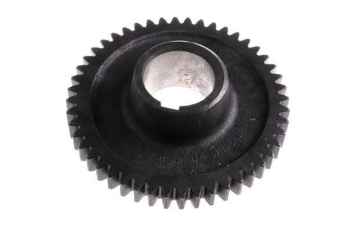 50819210.jpg