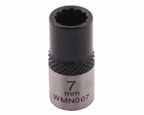 WMN007002.jpg
