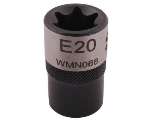 WMN066002.jpg