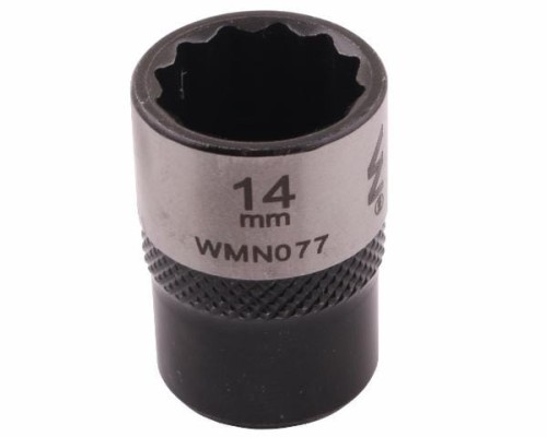 WMN077002.jpg