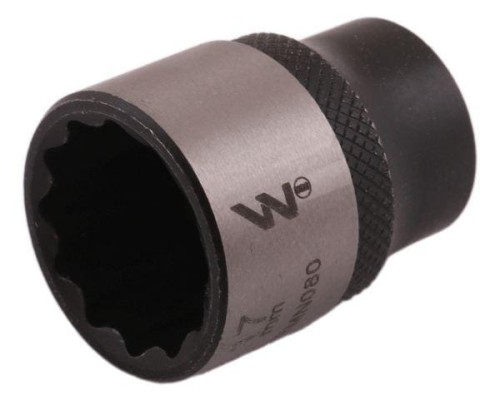 WMN080.jpg