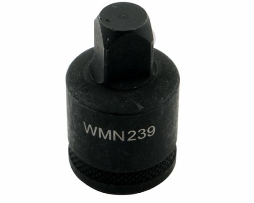 WMN239002.jpg