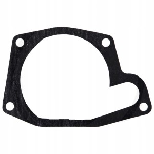 Uszczelka pompy wody Massey Ferguson 4223854M1