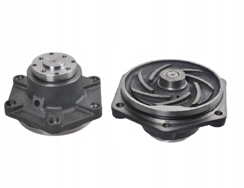 1ff978bf405cae6129a00225fd58