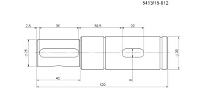 Wałek 120 mm kombajn buraczany Neptun