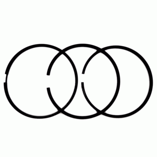 1564058714.6018.jpg