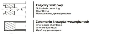1468504310.5694.jpg