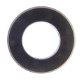 1606826258.0387.jpg