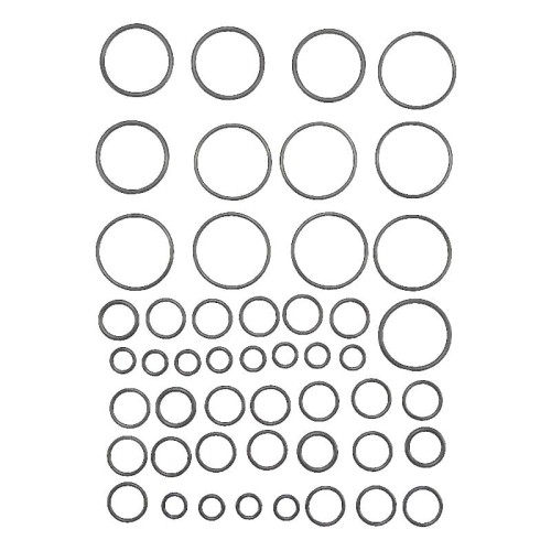 1661259280.6554.jpg