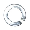 1605190533.5726.jpg