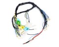 60115608EX_1.png