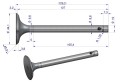 69010555U.png