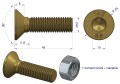 W-799128845_1.png